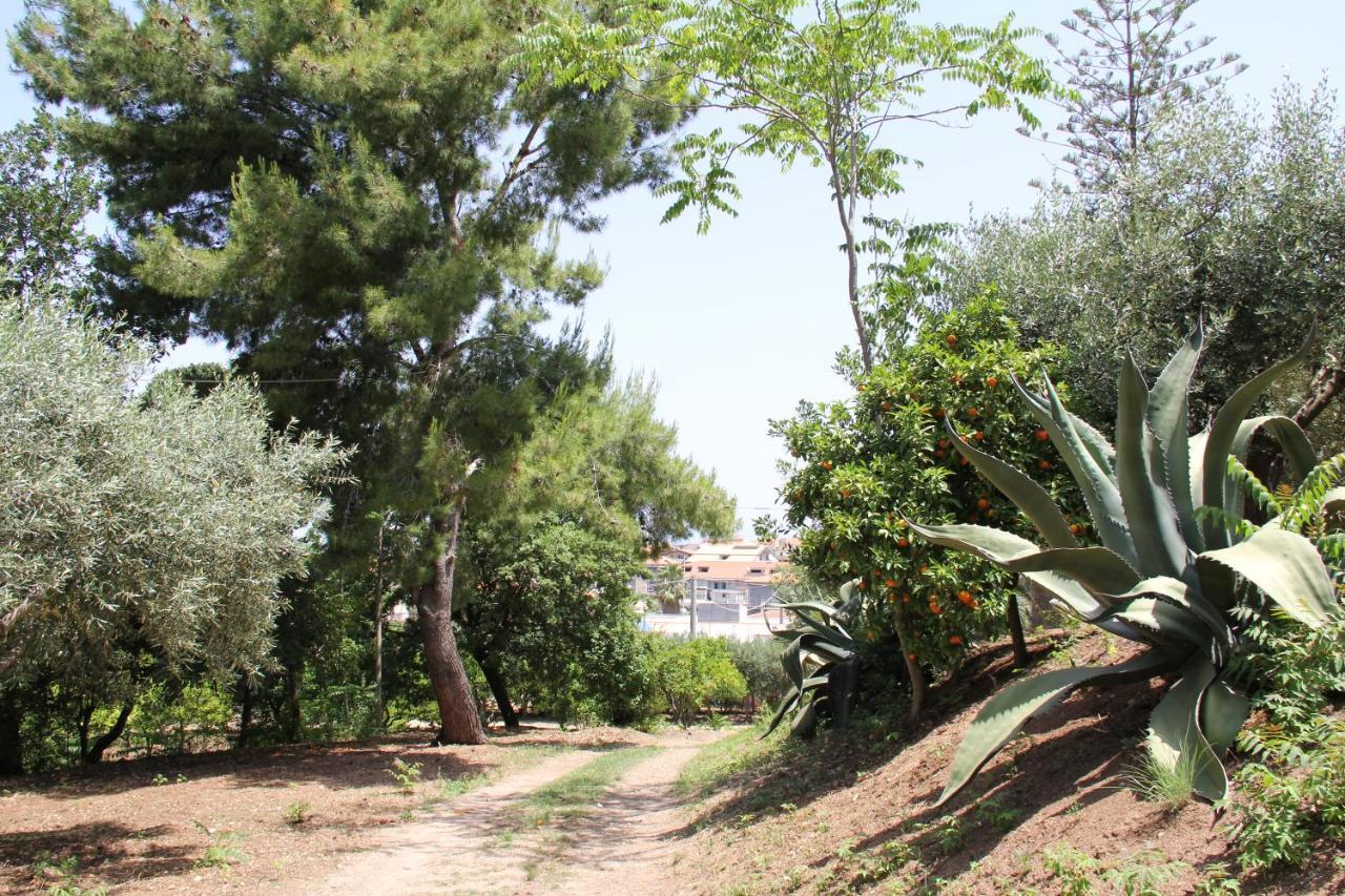 Tenuta Conte Ruggero Santa Domenica  Dış mekan fotoğraf
