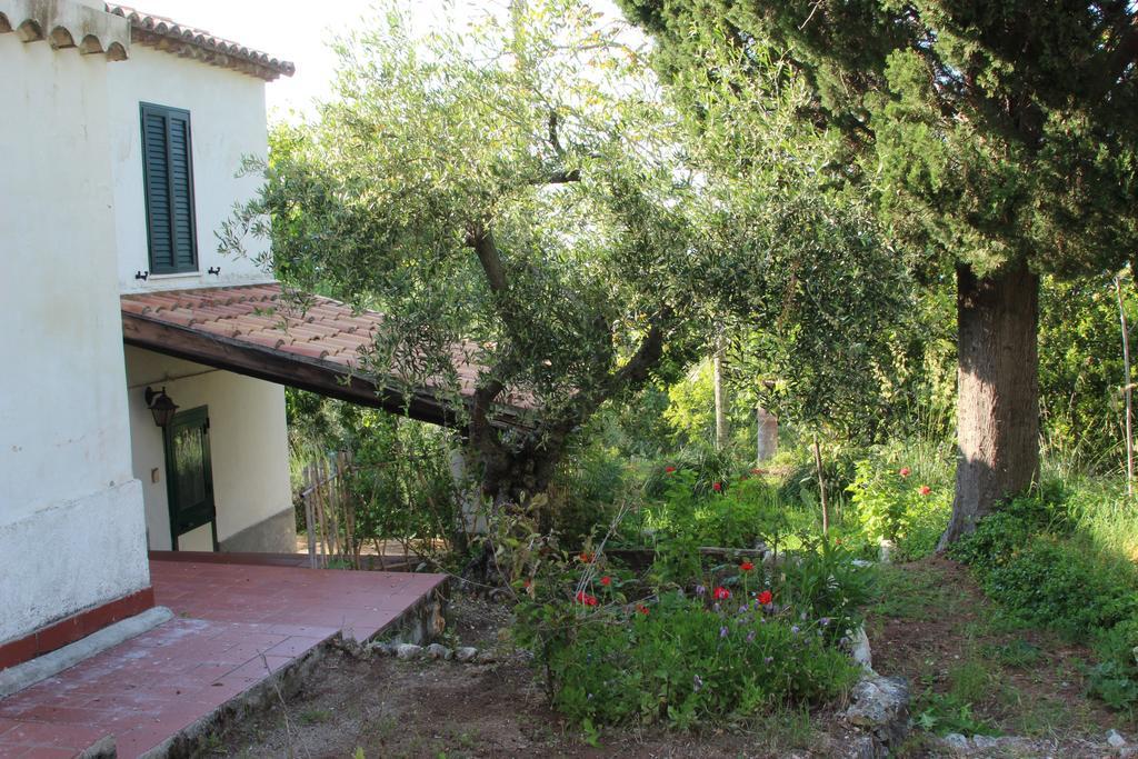 Tenuta Conte Ruggero Santa Domenica  Oda fotoğraf